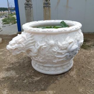 想養好花，怎樣選擇更適合的花盆？