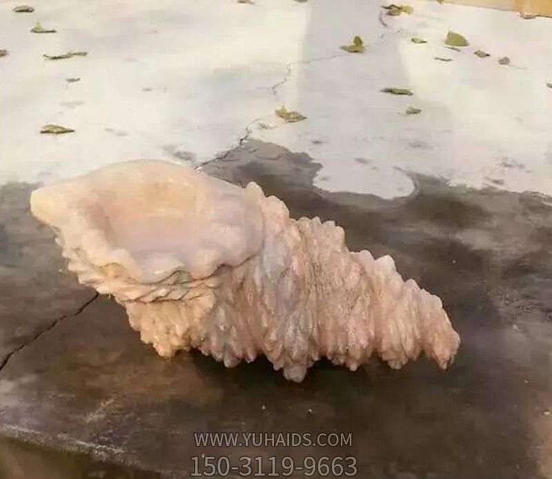 室內擺放的花崗巖石雕創(chuàng )意海螺雕塑