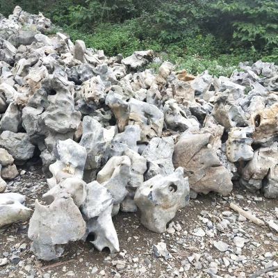 戶(hù)外石雕抽象藝術(shù)太湖石雕塑