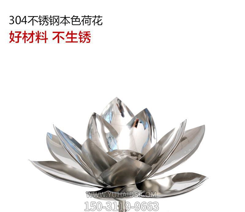 戶(hù)外創(chuàng )意不銹鋼荷花雕塑