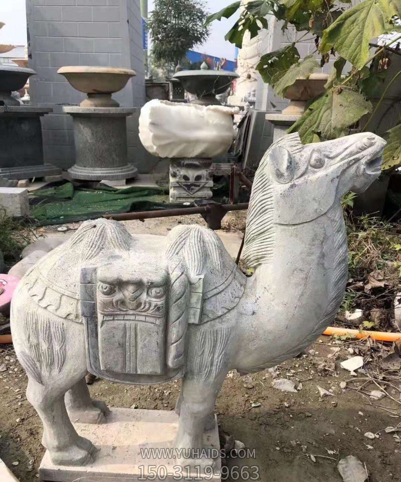 公園擺放的吃樹(shù)葉的青石石雕創(chuàng )意駱駝雕塑
