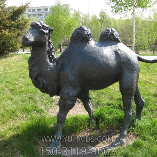 鑄銅園林廣場(chǎng)創(chuàng  )意駱駝雕塑