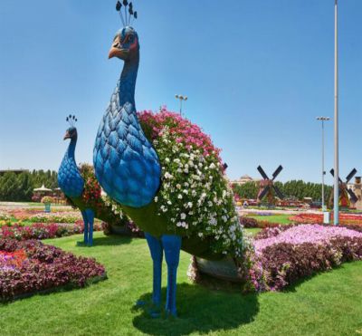 公園里兩只拖著(zhù)漂亮的尾巴的玻璃鋼彩繪孔雀雕塑
