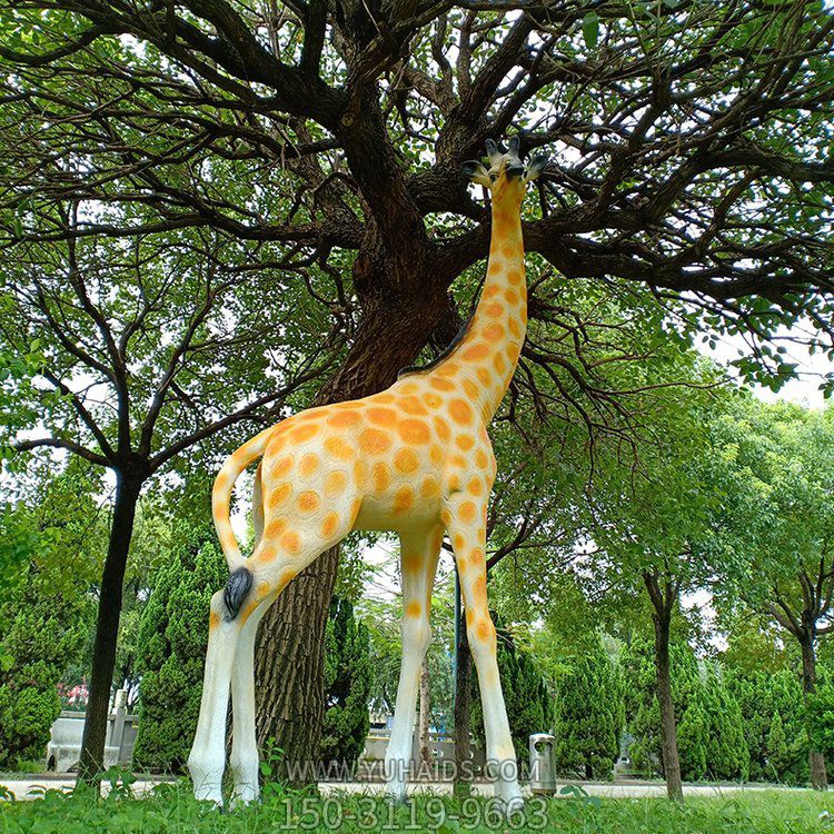 玻璃鋼仿真長(cháng)頸鹿，公園園林草坪動(dòng)物景觀(guān)雕塑