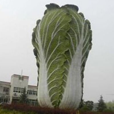 農場(chǎng)大型玻璃鋼仿真蔬菜大白菜
