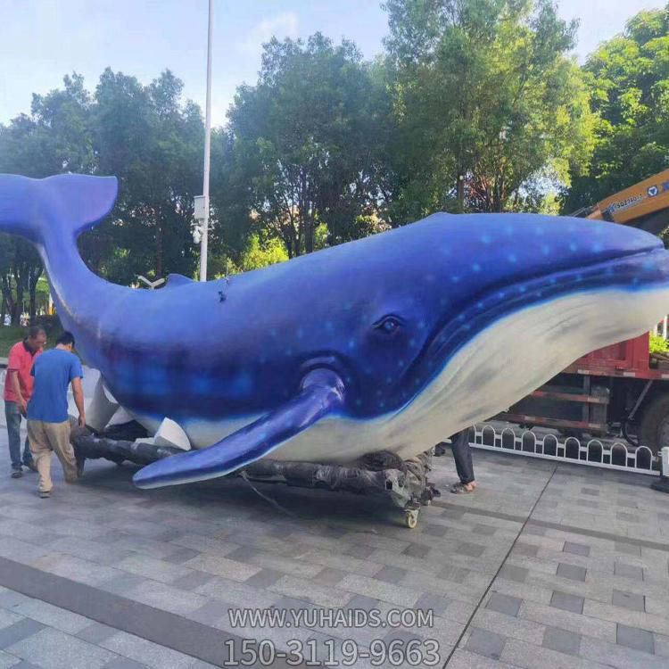 景區大型玻璃鋼彩繪海洋動(dòng)物景觀(guān)鯨魚(yú)雕塑