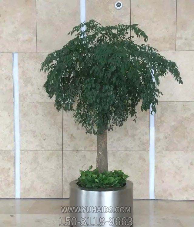 企業(yè)不銹鋼創(chuàng )意花盆雕塑