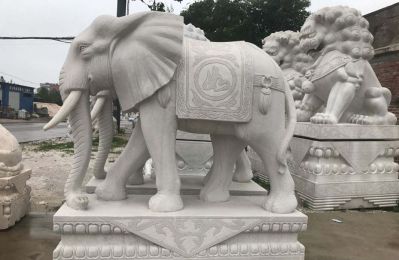戶(hù)外景區大型大理石石雕大象雕塑
