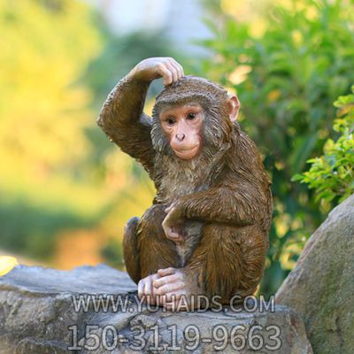 公園擺放的抓頭的玻璃鋼創(chuàng )意猴子雕塑