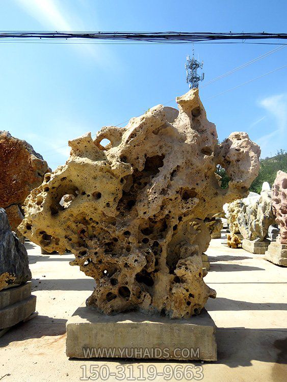 純天然戶(hù)外水景景觀(guān)珊瑚石雕塑