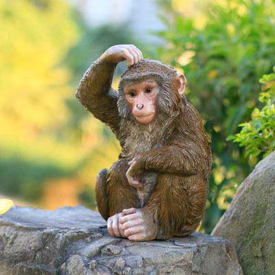 公園擺放的抓頭的玻璃鋼創(chuàng  )意猴子雕塑