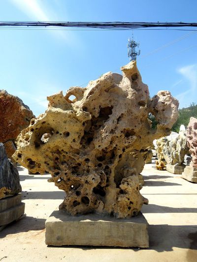 純天然戶(hù)外水景景觀(guān)珊瑚石雕塑