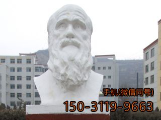 生物學(xué)家達爾文頭像雕塑